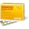 Ginkgo Biloba Hevert® Tab