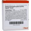 Adenosintriphosphat (ATP)...