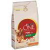 Purina ONE Mini Active Hu